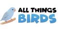 All Things Birds cashback
