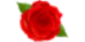 Jrroses.com cashback