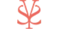 SHE·SAID·YES cashback